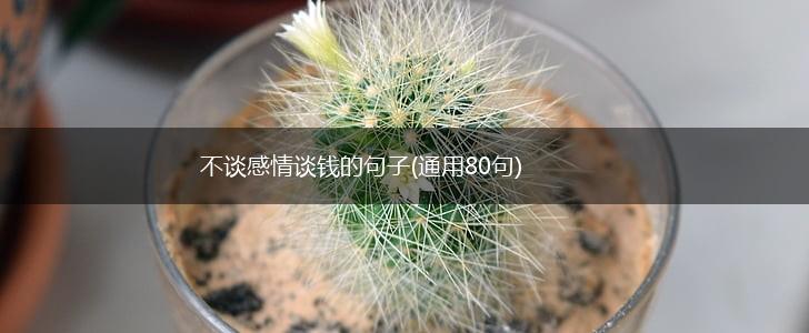 不谈感情谈钱的句子(通用80句),第1张