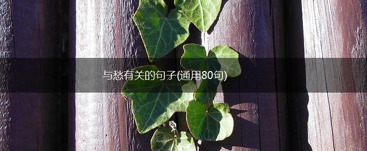 与愁有关的句子(通用80句),第1张