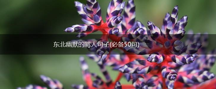 东北幽默的骂人句子(必备50句),第1张