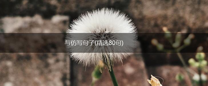与仿写句子(精选80句),第1张