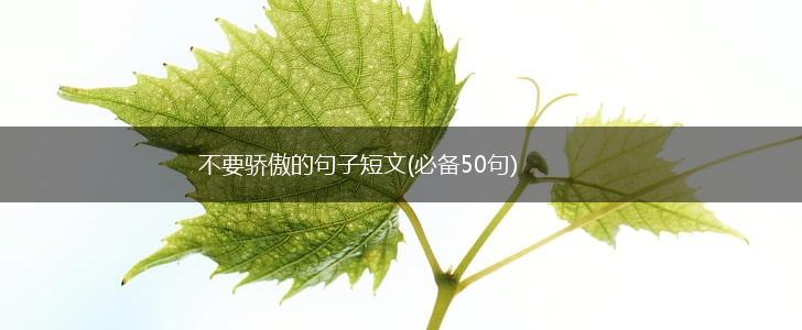 不要骄傲的句子短文(必备50句),第1张