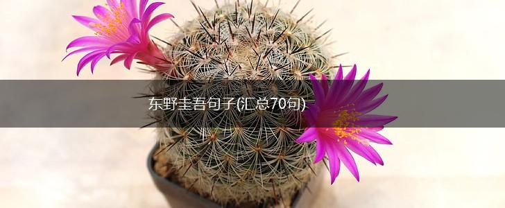 东野圭吾句子(汇总70句),第1张