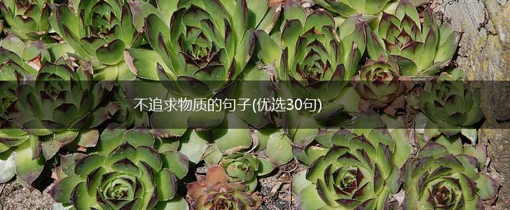 不追求物质的句子(优选30句),第1张