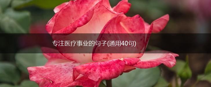专注医疗事业的句子(通用40句),第1张