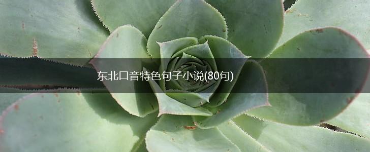 东北口音特色句子小说(80句),第1张