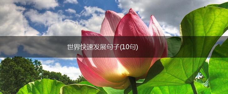 世界快速发展句子(10句),第1张