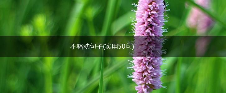 不骚动句子(实用50句),第1张