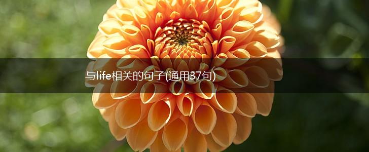与life相关的句子(通用37句),第1张