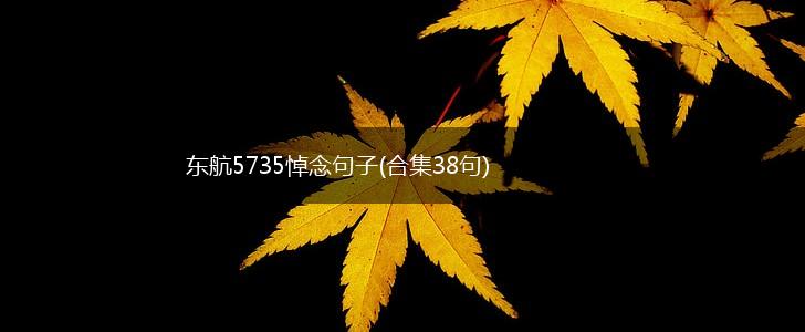 东航5735悼念句子(合集38句),第1张