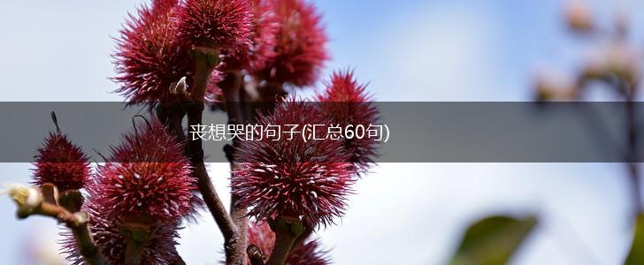 丧想哭的句子(汇总60句),第1张