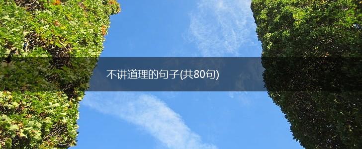 不讲道理的句子(共80句),第1张