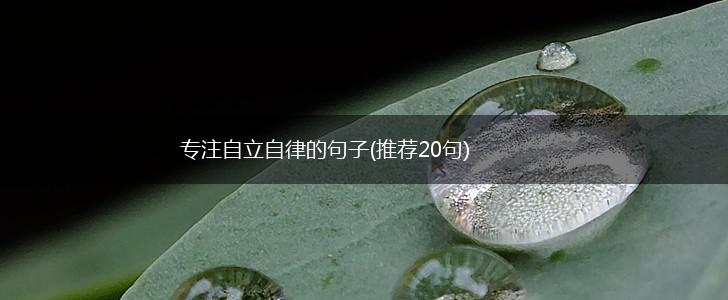 专注自立自律的句子(推荐20句),第1张