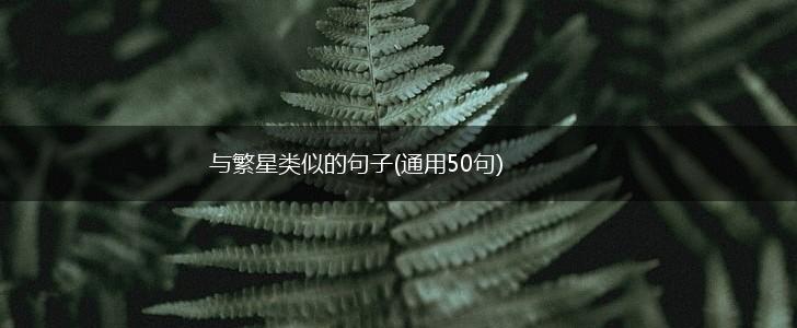 与繁星类似的句子(通用50句),第1张