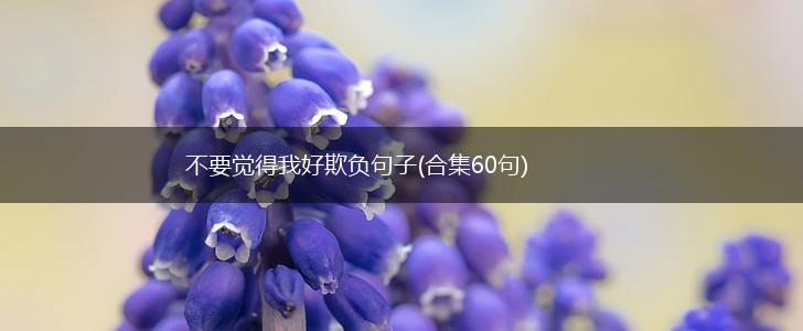 不要觉得我好欺负句子(合集60句),第1张