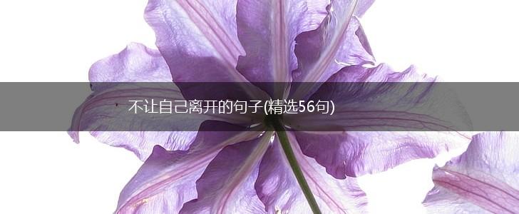 不让自己离开的句子(精选56句),第1张