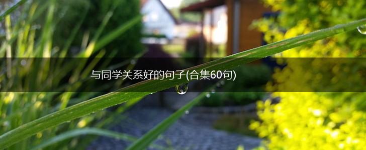 与同学关系好的句子(合集60句),第1张
