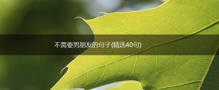 不需要男朋友的句子(精选40句),第1张