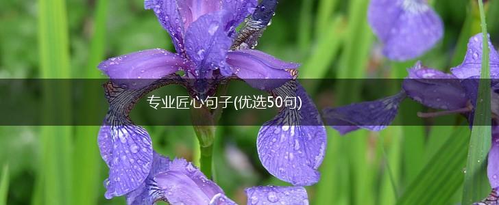 专业匠心句子(优选50句),第1张