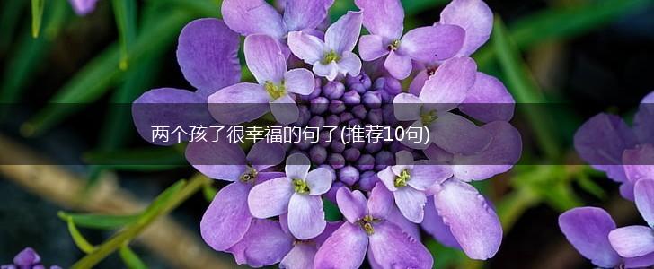 两个孩子很幸福的句子(推荐10句),第1张