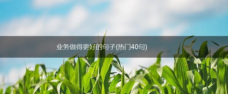 业务做得更好的句子(热门40句),第1张