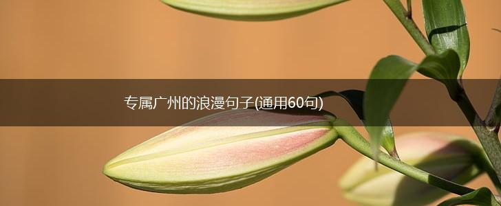 专属广州的浪漫句子(通用60句),第1张