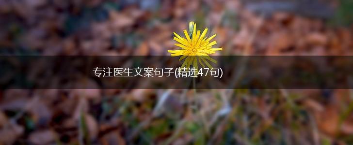 专注医生文案句子(精选47句),第1张