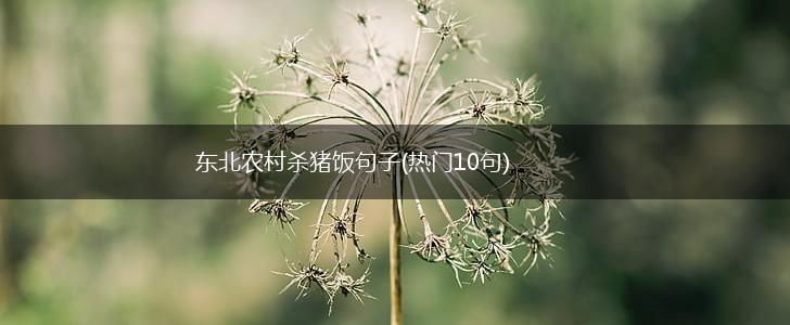 东北农村杀猪饭句子(热门10句),第1张