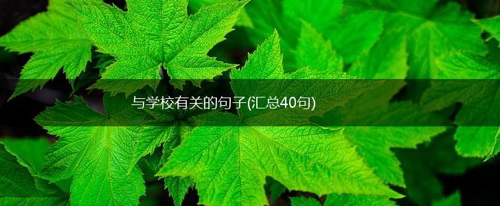 与学校有关的句子(汇总40句),第1张
