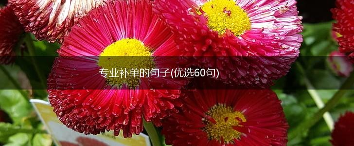 专业补单的句子(优选60句),第1张