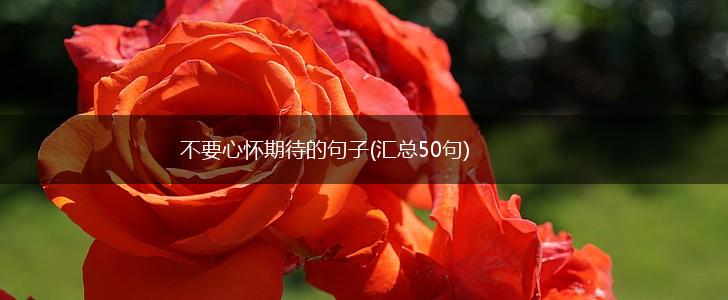 不要心怀期待的句子(汇总50句),第1张