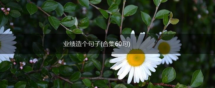 业绩造个句子(合集60句),第1张