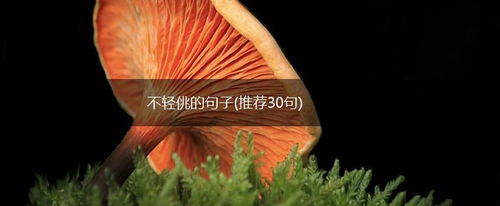 不轻佻的句子(推荐30句),第1张