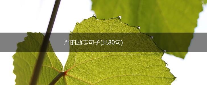 严的励志句子(共80句),第1张