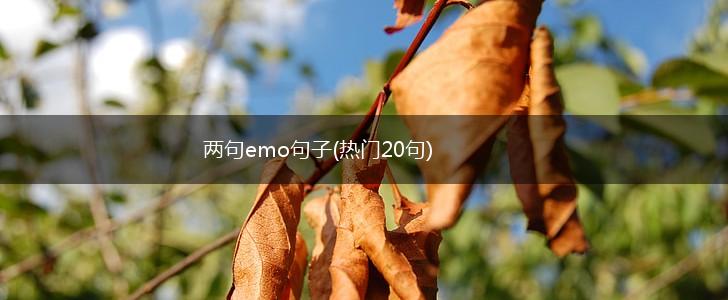 两句emo句子(热门20句),第1张