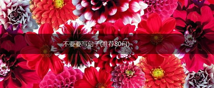 不要要写句子(推荐80句),第1张
