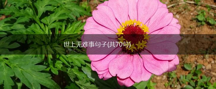 世上无难事句子(共70句),第1张