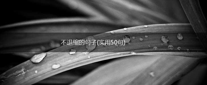 不退缩的句子(实用50句),第1张