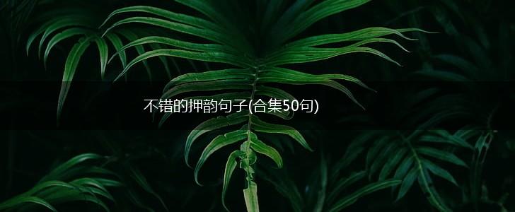 不错的押韵句子(合集50句),第1张