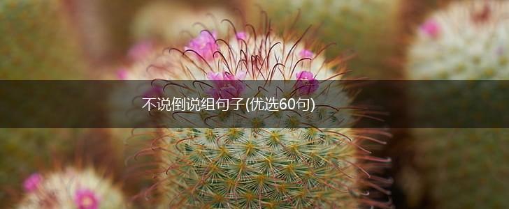 不说倒说组句子(优选60句),第1张
