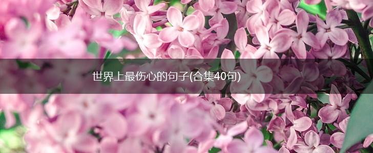 世界上最伤心的句子(合集40句),第1张