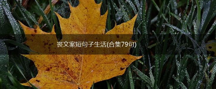 丧文案短句子生活(合集79句),第1张