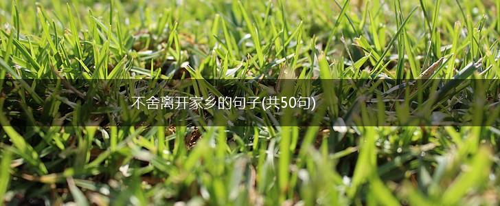 不舍离开家乡的句子(共50句),第1张