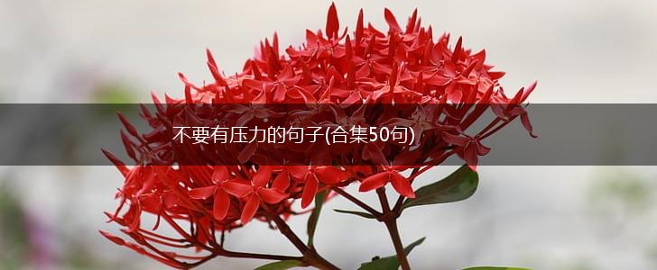 不要有压力的句子(合集50句),第1张