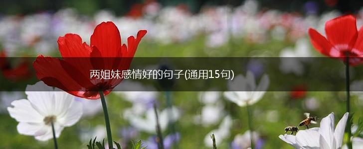 两姐妹感情好的句子(通用15句),第1张