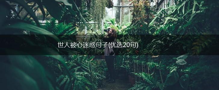 世人被心迷惑句子(优选20句),第1张