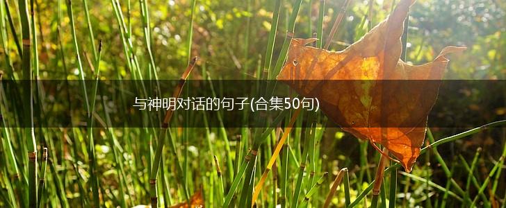 与神明对话的句子(合集50句),第1张