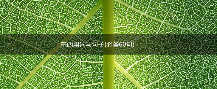 东西用词写句子(必备60句),第1张