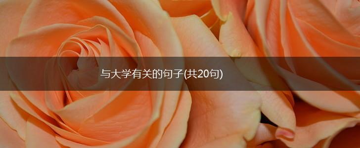 与大学有关的句子(共20句),第1张