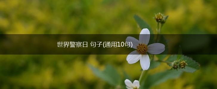 世界警察日 句子(通用10句),第1张