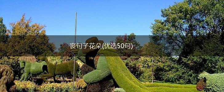 丧句子花朵(优选50句),第1张